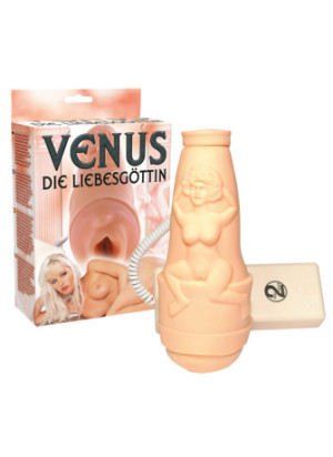 Venus